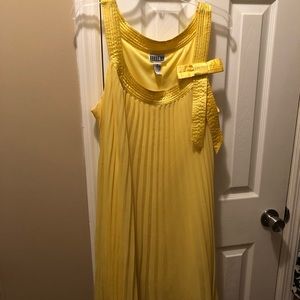 Women’s Pleated Dress